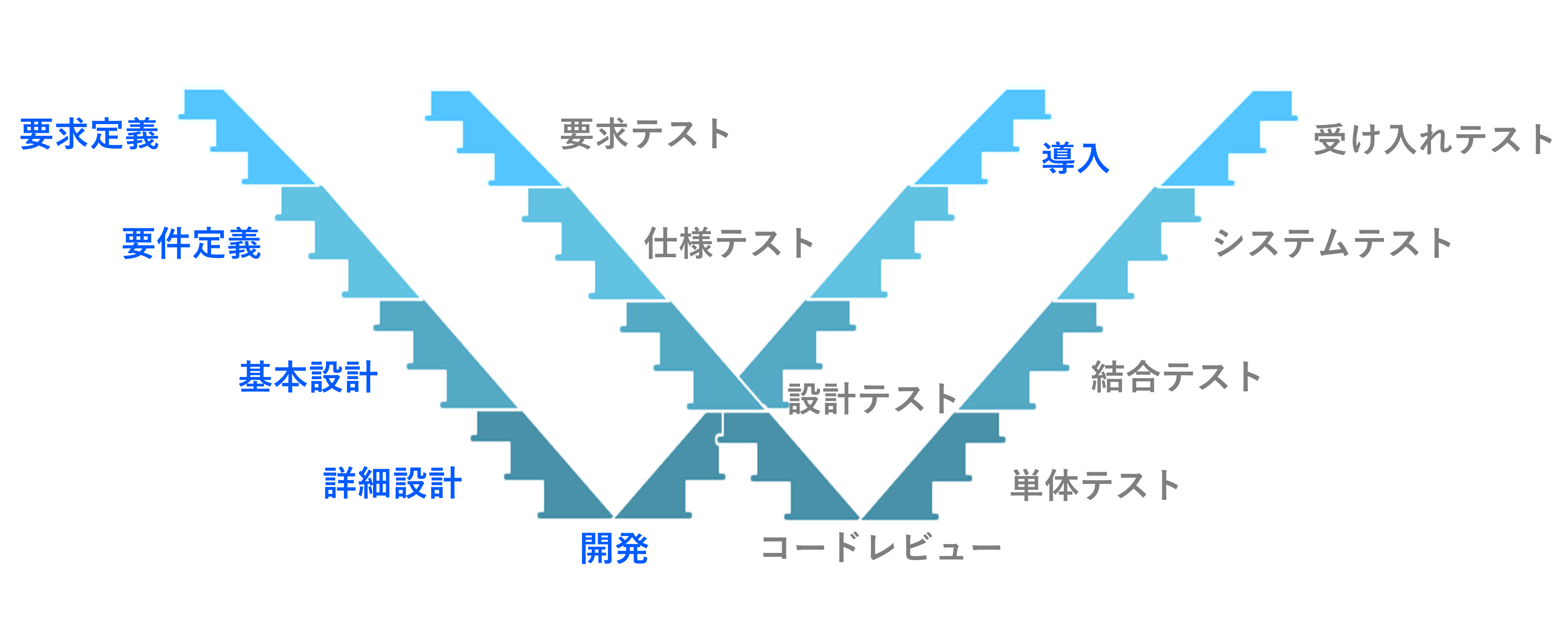 W字モデル
